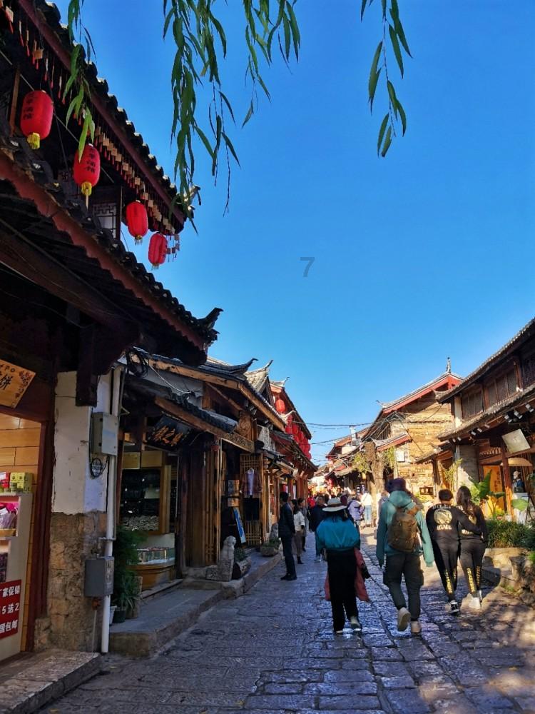 逃出郊外露营地