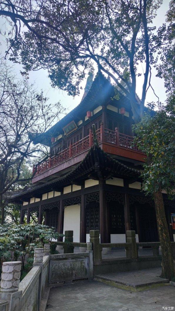 救援小袋熊